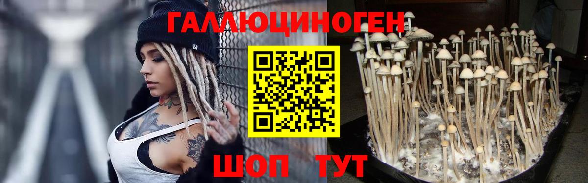 Галлюциногенные грибы мицелий  Вход с VPN  Артём 